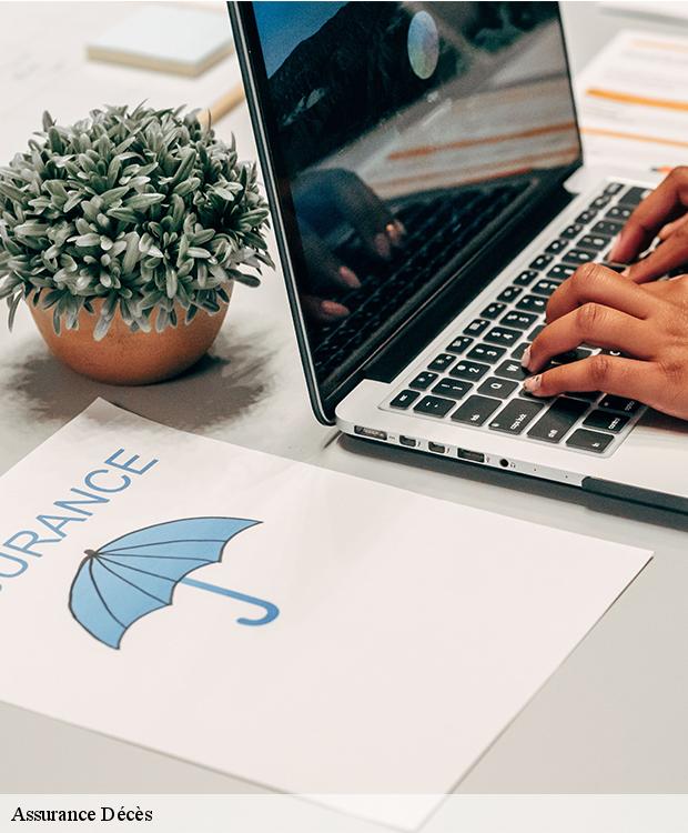 Assurance Décès  doue-77510 Pompes Funèbres du Coeur